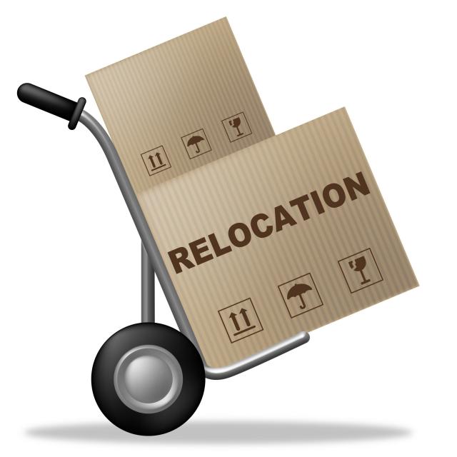Relocating for Your Job - moving box