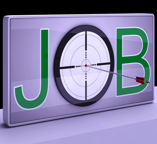 Job Target Showing Employment Occupation And Professional Career