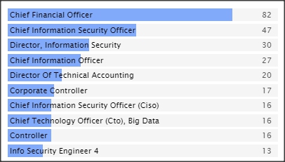 SC&C Chief Information Officer Top Job Titles